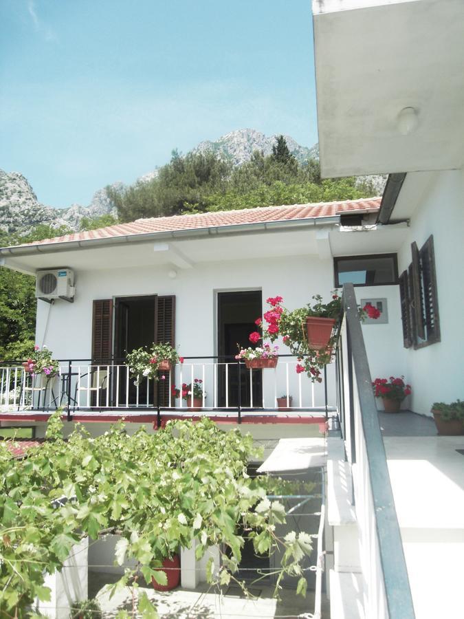 Apartment Ivana Котор Екстериор снимка